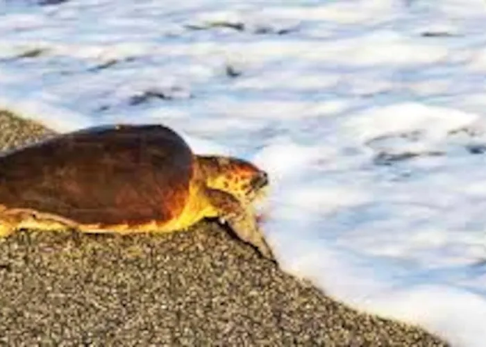 Spacious House With Jacuzzi In 布兰卡莱奥内码头