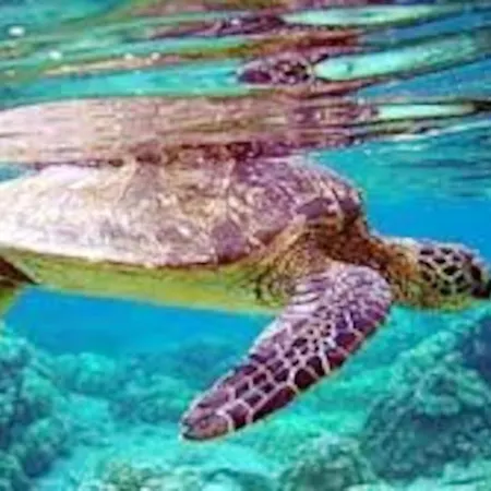 Feriehus Spacious House With Jacuzzi In