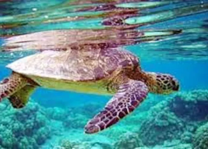 Nyaraló Spacious House With Jacuzzi In