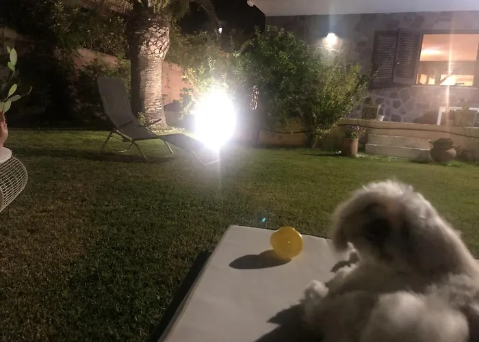 Spacious House With Jacuzzi In *